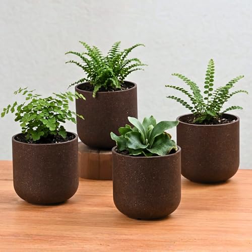 Image of Eha Earth-Friendly Terrapod Planters for Home Decor | 3.5 Inch, Pack of 4 | Small Plant Pot Made with Rice Husk Biocomposite | Flower Pot for Living Room | Coffee