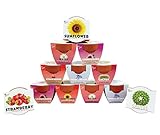 BUZZY Seeds Terracotta Mini Grow Pots 12-Pack – All-in-One Flower Kits with Growing Medium, Sunflower, Daisy, Coneflower, Strawberry, Forget-Me-Not, and Cactus Seeds, DIY Plant Starter Collection