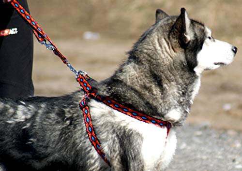 Dingo Winnetou Adjustable Dog Leash Handmade in Indian Style Howgh! Black 13562, 2 x 220 cm - Image 4