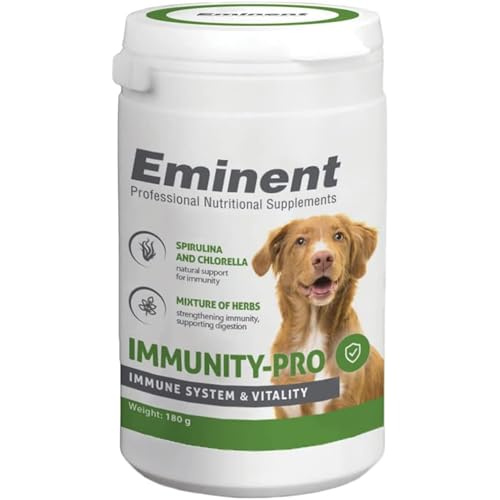 cani anziani per rafforzare la vitalità