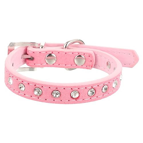 Abaodam ybg̎  傫 PU PETJ[ ϖՐL̎ ybg̑ ybg̃lN^C v sN