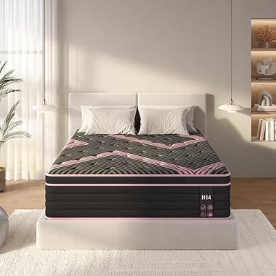 Teemful Queen Mattress, Hybrid Mattress, 10 Inch Medium Firm Mattress, Pocket Spring and Memory Foam Bed in a Box, Reduced Transfer, Breathable Knit Fabric