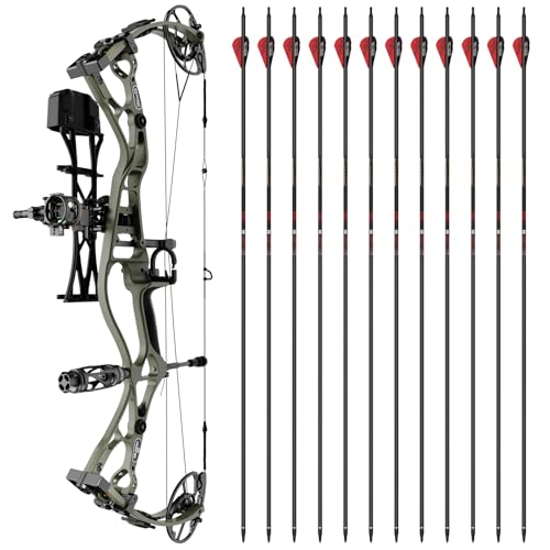 Sanlida Dragon 10 Compound Bow Kit & 12x Carbon Arrows