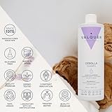 VALQUER Champú de Cebolla Regulador del Pelo Graso |...