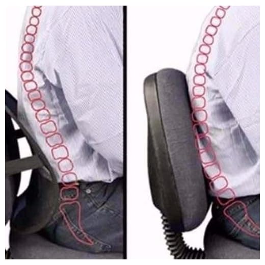 Apoio Suporte Lombar Encosto Postura Ergonômico Para Cadeira