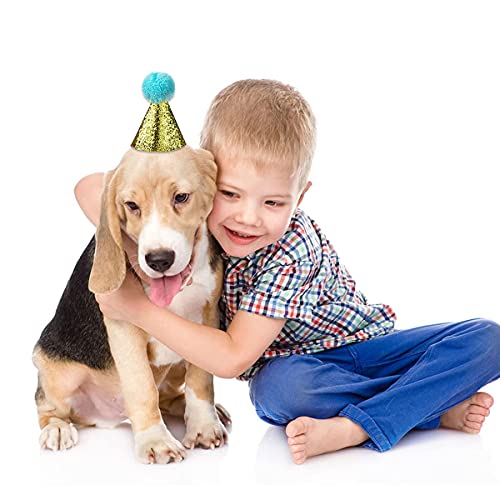 Beiabang 8 Pcs Dog Birthday Hat For Pets Party Pet Headband Hats Charms Grooming Accessories Photo Props For Puppy Kitten Small Cats Dogs #TOP5