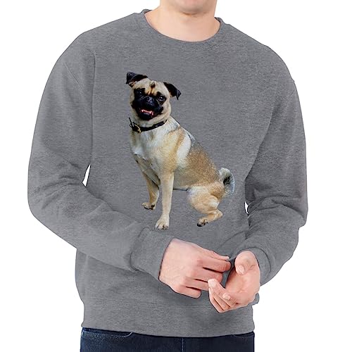 Sweat Homme Carlin Mignon - Le Cadeau Idéal pour Anniversaire
