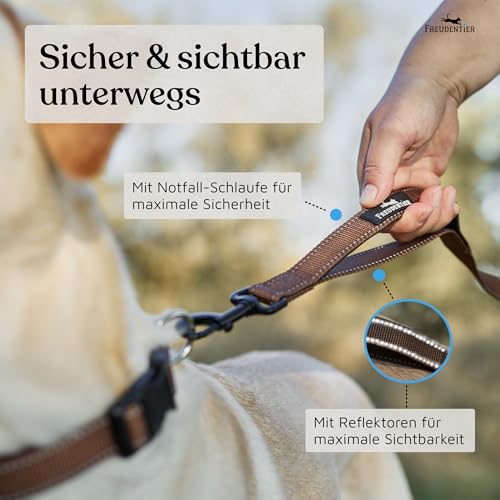 FREUDENTIER Umhängeleine Hund - Hundeleine 3m zum Umhängen, stufenlos verstellbar - Leine für kleine, mittelgroße & große Hunde (Braun, 3m)