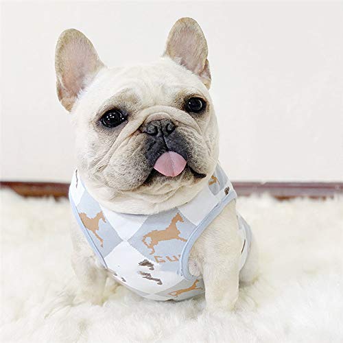 ♡オイルペイント　フレブル♡ フレンチブルドッグ服のINMYLIFE potemkine