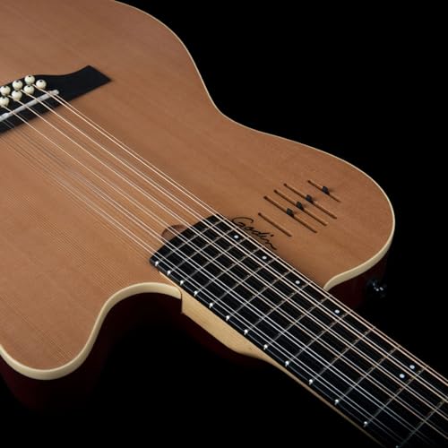 Godin 025343 A12 Two-Chambered Electro-Acoustic Guitar thumb #8
