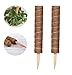 LINSOCLE 2 pezzi Totem Cocco, Bastone Muschiato, Palo Cocco, Totem Pole, Bastoncini di Cocco, Bastoncino da Muschio per Pianta Rampicante(30CM)