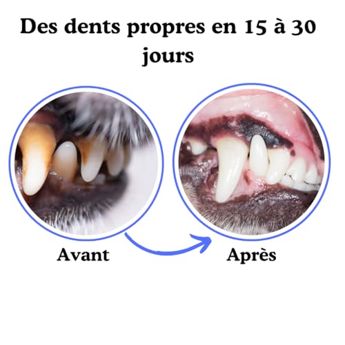 SUNFIDE - Poudre Dentaire pour Chien - Ultra Efficace - Favorise une Haleine Fraîche, des Dents propres et des Gencives Saines - Algues brunes et Probiotiques (1 Boîte (60 Dosettes - Doseur Inclus)) – Image 5