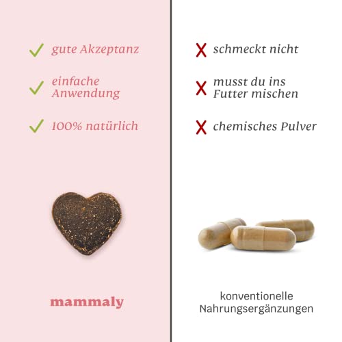 9-in-1 Probiotika für Deinen Hund - Lucky Belly 220 Drops (650g) von mammaly - Bei Magenprobleme & Verdauungsprobleme für Magen-Darm, Verdauungssnacks bei Gras fressen & Kotfresser Leckerlies mit Huhn