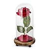 LCCL Schoonheid en het Beest Rose Kit, Rose en LED-licht in glazen koepel op houten sokkel voor hoofddecoratie…