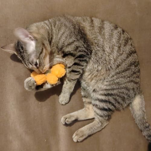 Les pattounes de G&C Jouet Chat Interactif 2 pièces - Boîte Duo Spéciale Jeu - Peluche Herbe à Chat - Chaton- Intérieur - Stimulant – Image 6