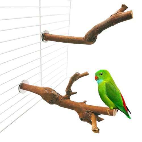 Image of Hamiledyi Bird Perch Natural Wooden Parrot Stand Branch Grapevine Wood Perch Bird Chewing Stick for Small Lovebirds Cockatiels Parakeets Finches(2 PCS)