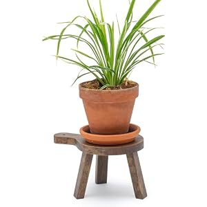 Red Co. 6 inch Tall Mini Round Boho Chic Tabletop Sustainable Rubberwood Stool Display Stand, Casual Country Potted Plant Holder, Brown Red Co 6 inch Tall Mini Round Boho Chic Tabletop Sustainable Rubberwood Stool Display Stand Casual Country Potted Plant Holder Brown