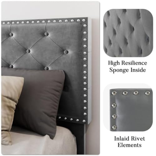 Image of Julius Upholstered Bed Queen Size Without Storage Solid Sheesham Wood | Modern Premium Fabric Upholstery Cushion Headboard | Queen Bed for Bedroom Wooden Double Bed Cot 78x60 Inch Queen