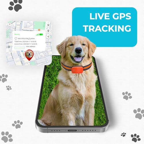 Image of FETACA Smart 4G Pet GPS Tracker Free 12 Month 4G Data SIM and App Subscription for Dogs, Adult Cats, and Other Animals | Real-Time Tracking with Geo-Fencing and Alerts | Lightweight Design