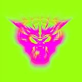 coyote ugly songs lyrics  Coyote Ugly