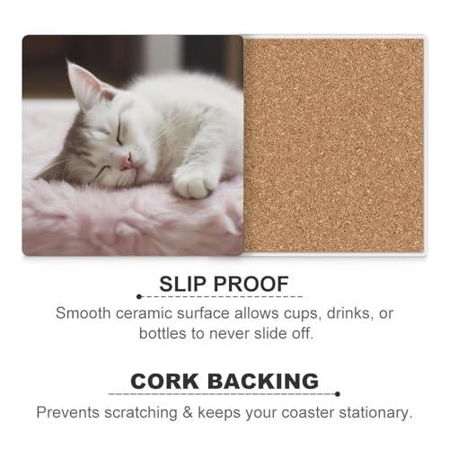 Dessous de verre en céramique absorbant chat anti-rayure table