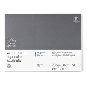Winsor & Newton Professional 22.9 x 30.5 cm 300 gsm Cold Pressed Water Colour Paper Glued Block