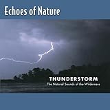 Echoes of Nature: Thunderstorm