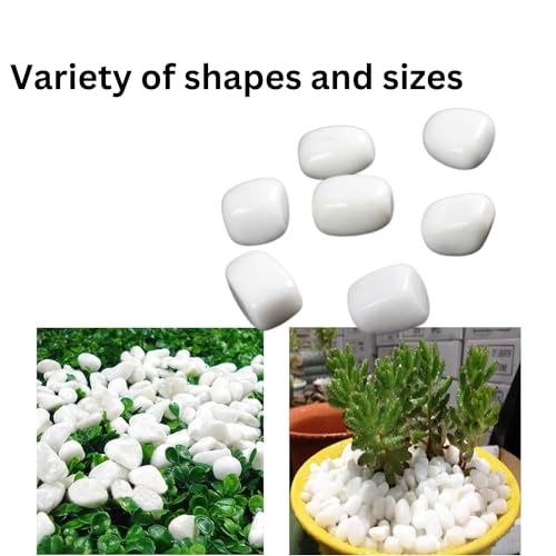 Image of Pebbles Stones for Plants Pots, Decorative Garden and Glass Pebbles, Table and Home Decor, Vase Fillers, Gravels Stone for Aquarium, Vase, Fountain Home Outdoor (White) (950 GM)