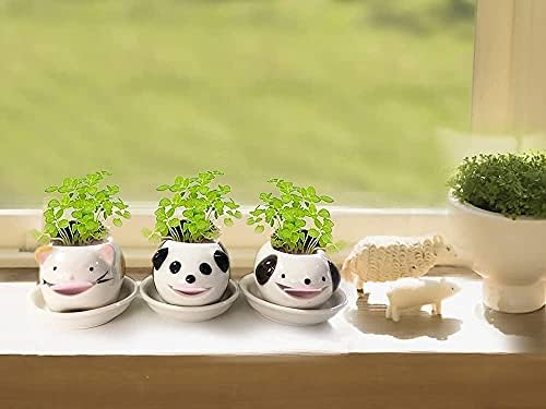 3 Pack Plant Pot Self Watering Succulent Pot Animal Tongue Drinking Cute Style Ceramic Mini for Indoor Outdoor Decoration Home Office Decor Window Garden Gifts
