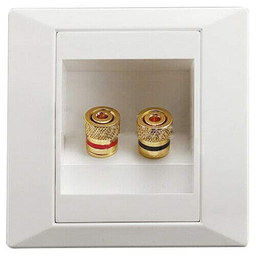 PRAV 1X(86x86mm 2 Binding Post Banana Plug Audio Jack Wall Face Plate Panel Spea I5Q8