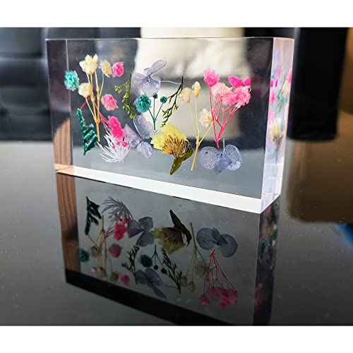 Ptgmh Flower Paper Weights For Office Bulk Resin Paperweight For Desk Square Paperweights Decorative With Real Dried Flower Specimens Paperweight Cube Ornament (Colorful) #TOP6