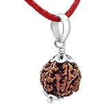 Arihant Gems & Jewels® Certified 6 Mukhi Nepali Rudraksha with 925 Silver Pendant – Natural Six Face Rudraksha Bead for Wisdom, Focus & Lord Kartikeya Blessings