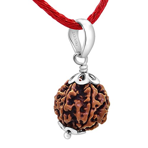 Arihant Gems & Jewels 6 Mukhi Rudraksha