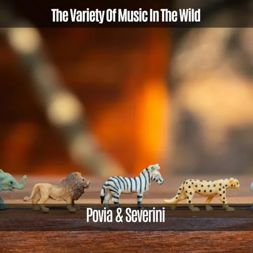 The Variety of Music in the Wild