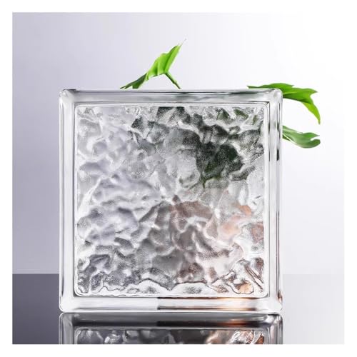 Ladrillos de cristal para estancias oscuras y ruidosas mediante bloques de vidrio aislantes