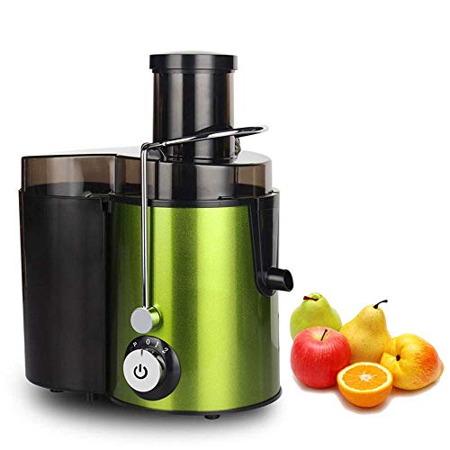 ERoomQ Juicer Machines,Slow Masticating Juicer Extractor Cold Press Juicing Machine for Fruits and Vegetables, Stainless Steel Wide Mouth High Juice Yield, Extract Healthy Nutrition