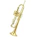 Student Brass Trumpet Musical Instruments For Students Trumpets GoldLacquer Structure Trumpet