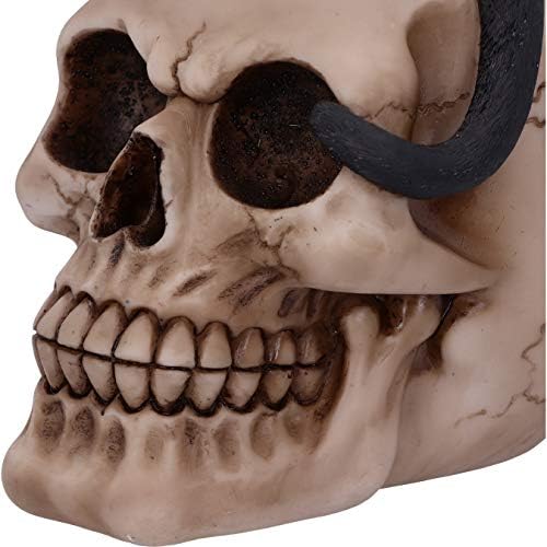Familiar Fate 24.3cm Black Witches Cat and Skull Figurine