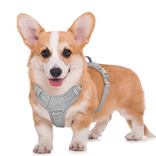 BARKBAY No Pull Dog Harness Large Reflective Dog Harness with Front Clip and Easy Control Handle for Walking Training Running with ID tag Pocket(Grey,M)