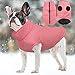 FEimaX Hundejacke Hundemantel wasserdichte Hunde Winter Warm Mantel für Kleine Mittlere Große Hunde Regenmantel Welpen Gepolstert Puffer Weste Haustier Kleidung