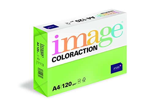 Rame de papier couleur A4 120 g/m² vert moyen Antalis Coloraction