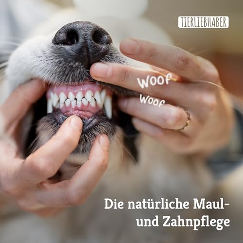 TIERLIEBHABER – Zahnfee Dental Sticks Hund Zahnsteinentferner – Hundeleckerlies zur Hunde Zahnpflege – Von Tierärzten entwickelt – Gegen Mundgeruch & Zahnbelag – 13 Natürliche Dental Kaustangen Hund