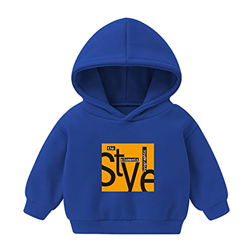 Moletom com capuz infantil pulôver moletom com capuz para bebês meninos e meninas 2t, Azul, 2-3 Anos