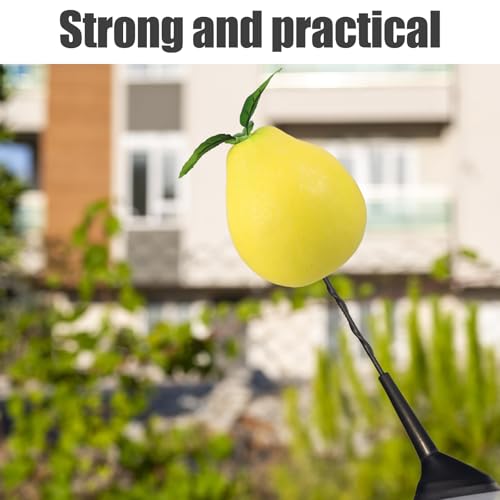 Modelo de fruta decorativa realista Happyyami: pomelo artificial detallado 4