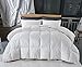 White Cotton Comforter King Size, Cotton duvet for Cooling, Down Alternative Fill Quilted Duvet Insert, Fluffy, Warm, Soft & Hypoallergenic, Medium Weight for All Season Soft Quilted Down Alternative