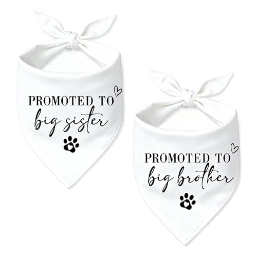Promoted To Big Sister Big Brother Bandanas - White