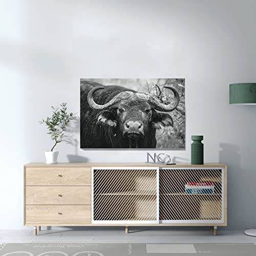 Toile imprimée gros plan buffle d'eau tableau déco 90x60 cm