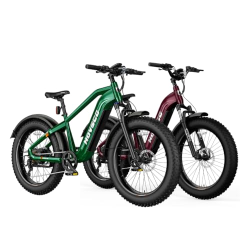 HovAlpha Torque Sensor E-Bike, 2000W Peak Motor, 48V 20Ah, 26x4 Fat Tires image 4