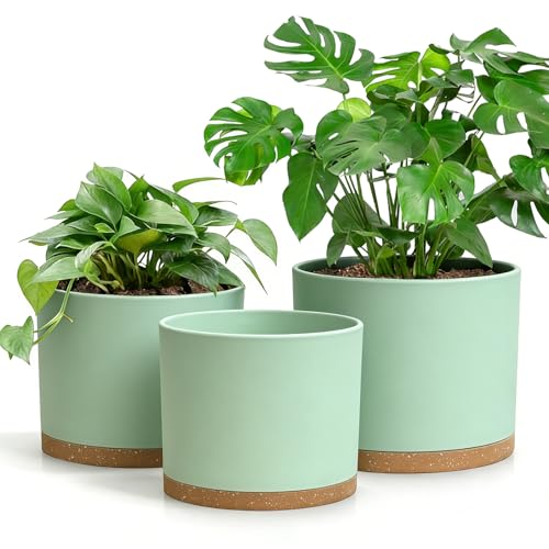 Set of 3 Large Indoor Plant Pots with Drainage