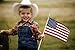 GIFTEXPRESS 12-Pack, Proudly MADE IN U.S.A. 8x12 Inch Spearhead Handheld American Stick Flags/Grave marker American Flags/USA Stick Flag (12)